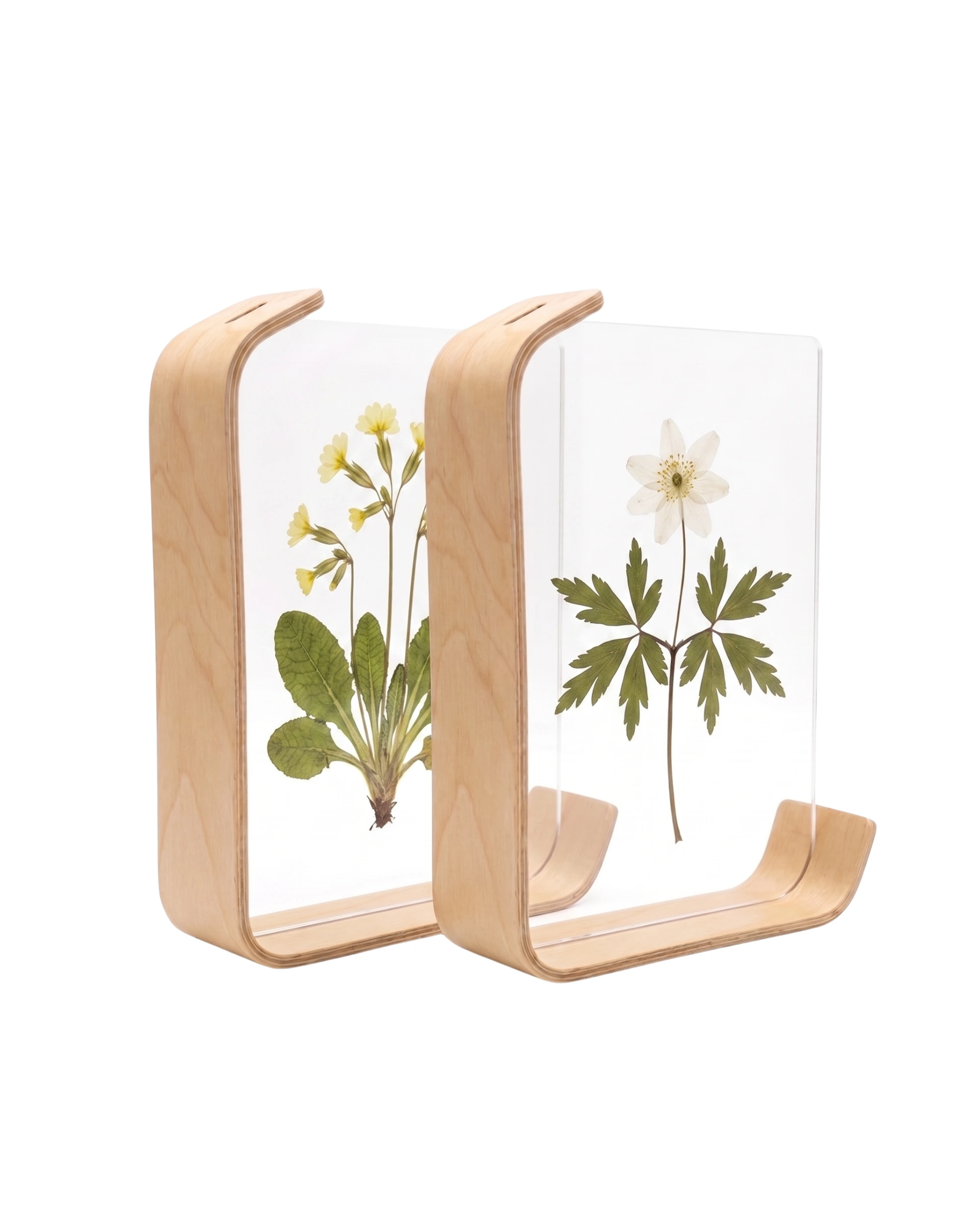 Wooden Floating Frame with Double-Sided Acrylic Display Natural L-Shaped Floating Frame Pair